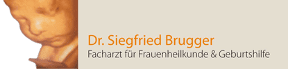 Logo footer